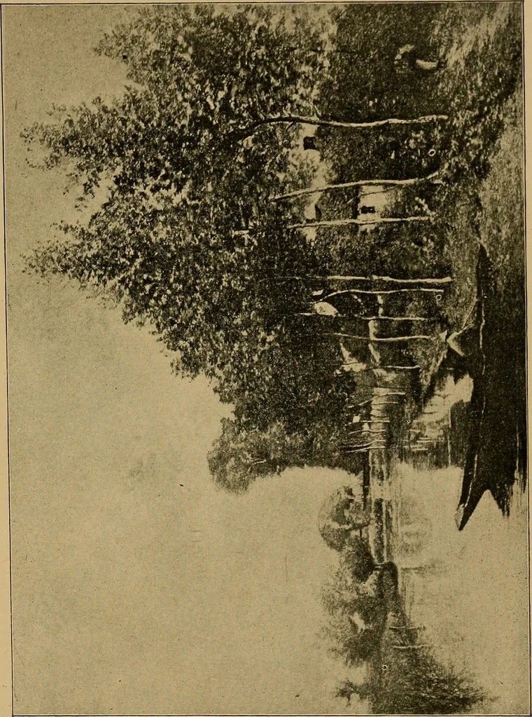 An illustration from The genesis of art-form; an essay in comparative æsthetics showing the identity of the sources, methods, and effects of composition in music, poetry, painting, sculpture and architecture, 1893, leaf 181