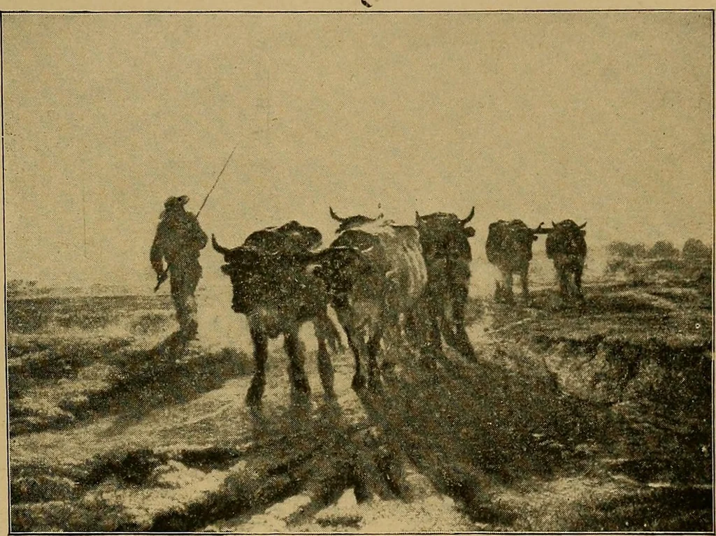 An illustration from The genesis of art-form; an essay in comparative æsthetics showing the identity of the sources, methods, and effects of composition in music, poetry, painting, sculpture and architecture, 1893, leaf 197