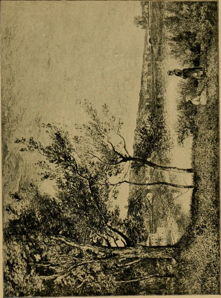 An illustration from The genesis of art-form; an essay in comparative æsthetics showing the identity of the sources, methods, and effects of composition in music, poetry, painting, sculpture and architecture, 1893, leaf 247
