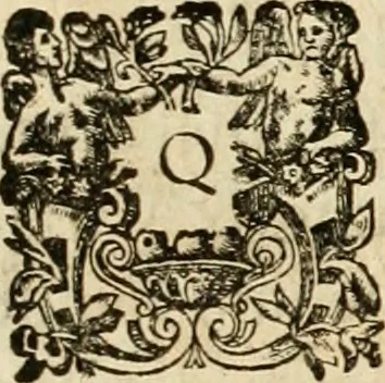 An illustration from Genii Serenissimorum Principum Philippi Wilhelmi Comitis Palatini Rheni ... sponsi, et Annae Catharinae Constantiae, augustissimorum regum Sigismundi III. filiae, Vladislai IV. sororis, Poloniae et Sueciae &c principis, sponsae : quos in nuptiali eorundem solennitate tria Societatis Jesu Collegia Dusseldorpiense, Monasterioeiffliacum e[t] Marcoduranum clementissimis suis dominis et munificentissimis fundatoribus D. C, 1642, leaf 20
