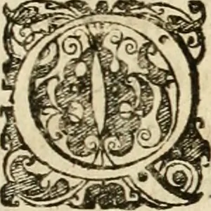 An illustration from Genii Serenissimorum Principum Philippi Wilhelmi Comitis Palatini Rheni ... sponsi, et Annae Catharinae Constantiae, augustissimorum regum Sigismundi III. filiae, Vladislai IV. sororis, Poloniae et Sueciae &c principis, sponsae : quos in nuptiali eorundem solennitate tria Societatis Jesu Collegia Dusseldorpiense, Monasterioeiffliacum e[t] Marcoduranum clementissimis suis dominis et munificentissimis fundatoribus D. C, 1642, leaf 42