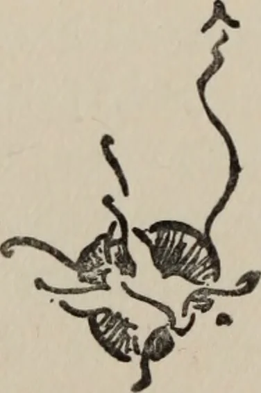 An illustration from The gentle art of making enemies, as pleasingly exemplified in many instances, wherein the serious ones of this earth, carefully exasperated, have been prettily spurred on to unseemliness and indiscretion, while overcome by an undue sense of right, 1909, leaf 127