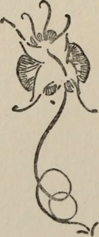 An illustration from The gentle art of making enemies, as pleasingly exemplified in many instances, wherein the serious ones of this earth, carefully exasperated, have been prettily spurred on to unseemliness and indiscretion, while overcome by an undue sense of right, 1909, leaf 131