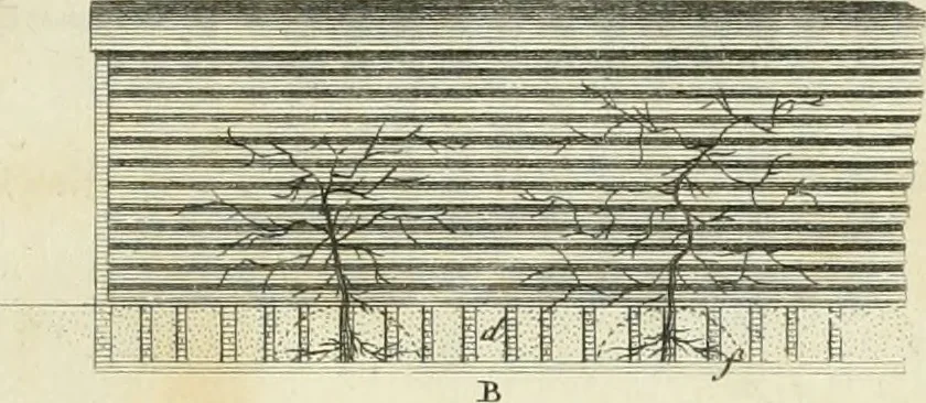 An illustration from The gentleman and farmer's architect : a new work, containing a great variety of useful and genteel designs, being correct plans and elevations of parsonage and farm houses, lodges for parks, pinery, peach, hot and green houses, with the fire-wall, tan-pit, &c. particularly described ... : with scales and tables of reference, describing the several parts, with their just dimensions and use, 1762, leaf 34