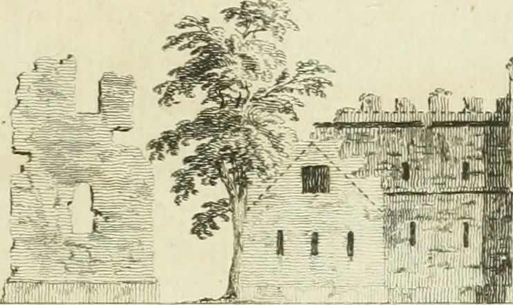 An illustration from The gentleman and farmer's architect : a new work, containing a great variety of useful and genteel designs, being correct plans and elevations of parsonage and farm houses, lodges for parks, pinery, peach, hot and green houses, with the fire-wall, tan-pit, &c. particularly described ... : with scales and tables of reference, describing the several parts, with their just dimensions and use, 1762, leaf 54
