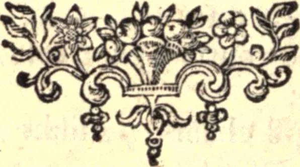 An illustration from Geodaesia : or, The art of surveying and measuring land made easy, 1768, leaf 239