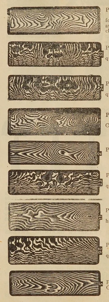 An illustration from Geo. E. Watson Co., "The Paint People" : we carry everything in the paint line, 1922, leaf 47