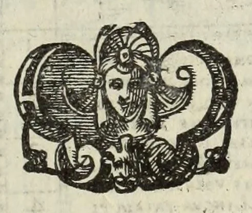 An illustration from Geografia di Claudio Tolomeo Alessandrino, 1599, leaf 501