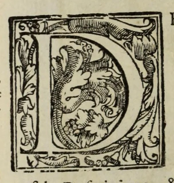 An illustration from Geografia di Claudio Tolomeo Alessandrino, 1599, leaf 752