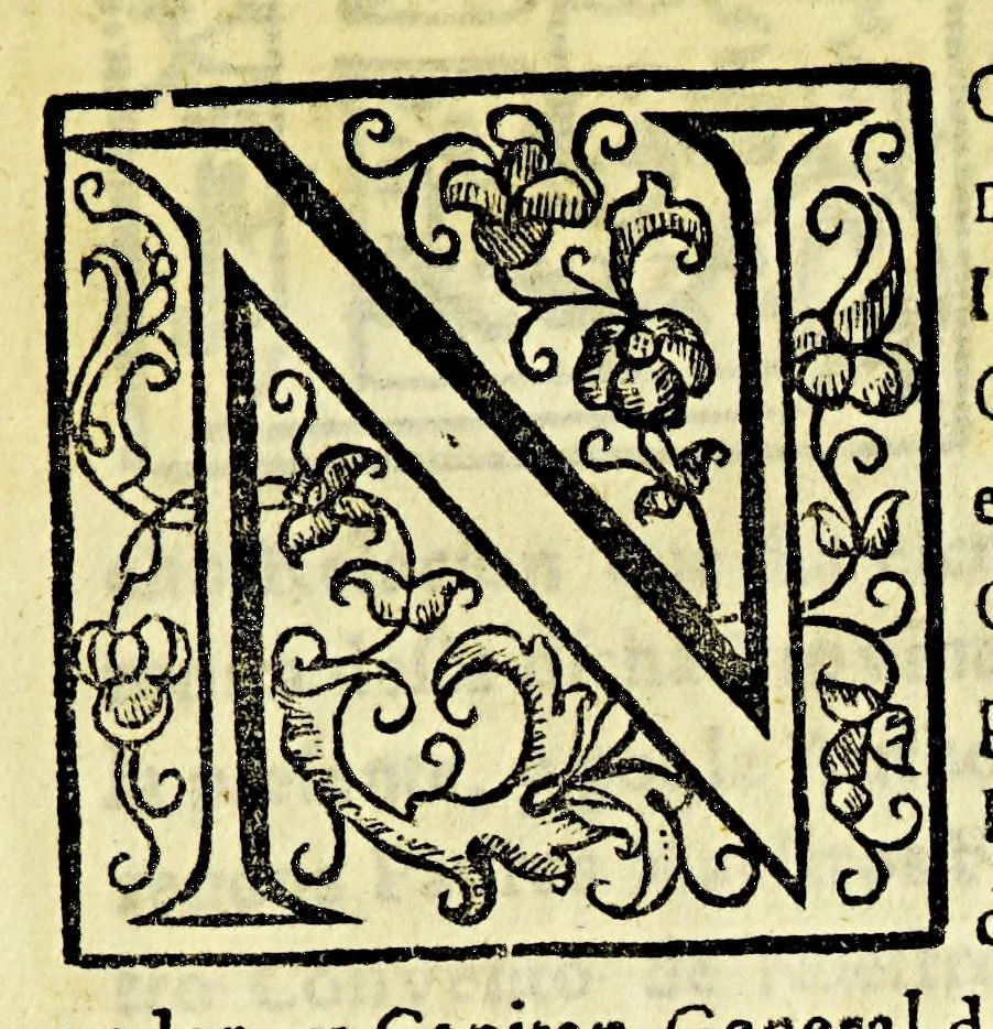 An illustration from Geografica descripcion de la parte septentrional, del polo artico de la America, y nueua iglesia de las Indias Occidentales, y sitio astronomico de esta Provincia de Predicadores de Antequera Valle de Oaxaca: en diez y siete grados del tropico de Cancer: debaxo de los aspectos, y radiaciones de planetas morales, que la fundaron con virtudes celestes, influyendola en santidad, y doctrina., 1674, leaf 13