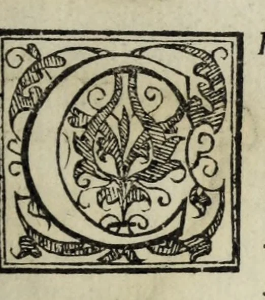 An illustration from Geographia Cl. Ptolemaei Alexandrini, 1562, leaf 667