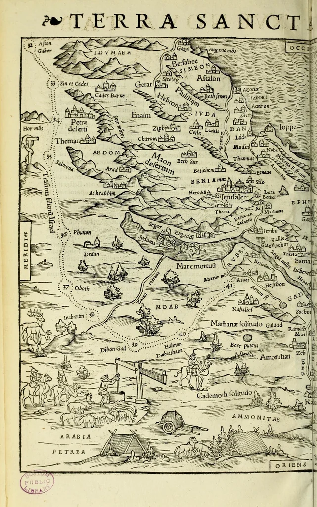 An illustration from Geographia uniuersalis : uetus et noua, complectens Claudii Ptoloemaei Alexandrini enarrationis libros VIII, 1540, leaf 392