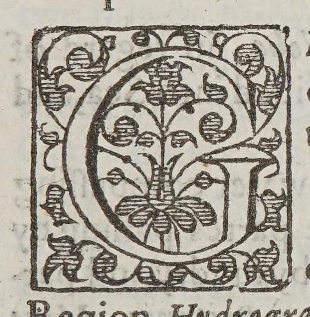 An illustration from A geographicall and anthologicall description of all the empires and kingdomes, both of continent and ilands in this terrestriall globe. : Relating their scituations, manners, customes, prouinces, and gouernements, 1618, leaf 15