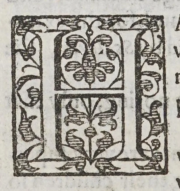 An illustration from A geographicall and anthologicall description of all the empires and kingdomes, both of continent and ilands in this terrestriall globe. : Relating their scituations, manners, customes, prouinces, and gouernements, 1618, leaf 74