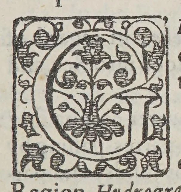 An illustration from A geographicall and anthologicall description of all the empires and kingdomes, both of continent and ilands in this terrestriall globe. : Relating their scituations, manners, customes, prouinces, and gouernements, 1618, leaf 13