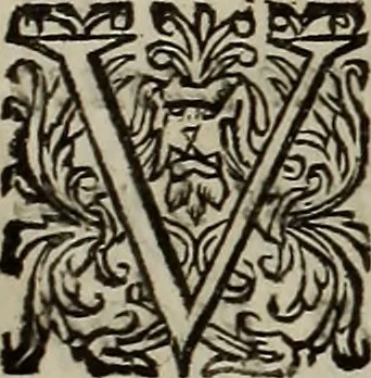An illustration from Geographiæ sacræ pars prior[-altera] ... : cum tabula chorographica, & duplici indice, 1. Locorum scripturæ. 2. Rerum & verborum : adjecti sunt tres alij indices in fine totius operis, 1651, leaf 426