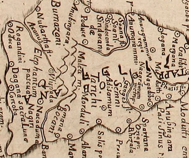 An illustration from Geographiæ sacræ pars prior[-altera] ... : cum tabula chorographica, & duplici indice, 1. Locorum scripturæ. 2. Rerum & verborum : adjecti sunt tres alij indices in fine totius operis, 1651, leaf 446