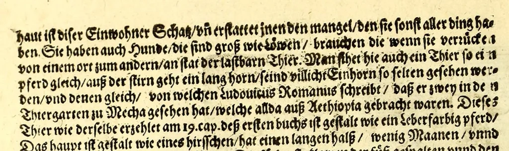 An illustration from Geographische vnd historische Beschreibung der uberauss grosser Landtschafft America: welche auch West Jndia, vnd jhrer grösse halben die New Welt genennet wirt. : Gar artig, vnd nach der Kunst in XX. Mappen oder Landtaffeln verfasset, vnd jetzt newlich in Kupffer gestochen, vnd an tag gegeben. : Dabey auff dem Rücken ieder Mappen gefunden wirdt, die Gestalt, Art, vne vornembste Gelgenheit der Landtschafft ... : Zu mehrem Verstand vnd Erklärung gemelter Landschafft America, ist hiebey gefügt ein schön vnd nützlicher Tractat von der Natur, Art, vnd Eygenschafft der Newer Welt ..., 1598, leaf 70