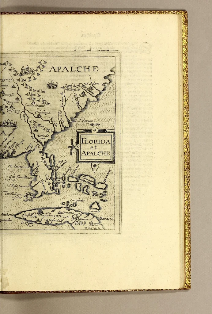An illustration from Geographische vnd historische Beschreibung der uberauss grosser Landtschafft America: welche auch West Jndia, vnd jhrer grösse halben die New Welt genennet wirt. : Gar artig, vnd nach der Kunst in XX. Mappen oder Landtaffeln verfasset, vnd jetzt newlich in Kupffer gestochen, vnd an tag gegeben. : Dabey auff dem Rücken ieder Mappen gefunden wirdt, die Gestalt, Art, vne vornembste Gelgenheit der Landtschafft ... : Zu mehrem Verstand vnd Erklärung gemelter Landschafft America, ist hiebey gefügt ein schön vnd nützlicher Tractat von der Natur, Art, vnd Eygenschafft der Newer Welt ..., 1598, leaf 89