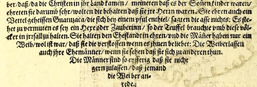 An illustration from Geographische vnd historische Beschreibung der uberauss grosser Landtschafft America: welche auch West Jndia, vnd jhrer grösse halben die New Welt genennet wirt. : Gar artig, vnd nach der Kunst in XX. Mappen oder Landtaffeln verfasset, vnd jetzt newlich in Kupffer gestochen, vnd an tag gegeben. : Dabey auff dem Rücken ieder Mappen gefunden wirdt, die Gestalt, Art, vne vornembste Gelgenheit der Landtschafft ... : Zu mehrem Verstand vnd Erklärung gemelter Landschafft America, ist hiebey gefügt ein schön vnd nützlicher Tractat von der Natur, Art, vnd Eygenschafft der Newer Welt ..., 1598, leaf 94