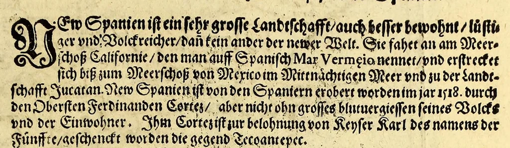 An illustration from Geographische vnd historische Beschreibung der uberauss grosser Landtschafft America: welche auch West Jndia, vnd jhrer grösse halben die New Welt genennet wirt. : Gar artig, vnd nach der Kunst in XX. Mappen oder Landtaffeln verfasset, vnd jetzt newlich in Kupffer gestochen, vnd an tag gegeben. : Dabey auff dem Rücken ieder Mappen gefunden wirdt, die Gestalt, Art, vne vornembste Gelgenheit der Landtschafft ... : Zu mehrem Verstand vnd Erklärung gemelter Landschafft America, ist hiebey gefügt ein schön vnd nützlicher Tractat von der Natur, Art, vnd Eygenschafft der Newer Welt ..., 1598, leaf 95