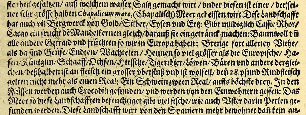 An illustration from Geographische vnd historische Beschreibung der uberauss grosser Landtschafft America: welche auch West Jndia, vnd jhrer grösse halben die New Welt genennet wirt. : Gar artig, vnd nach der Kunst in XX. Mappen oder Landtaffeln verfasset, vnd jetzt newlich in Kupffer gestochen, vnd an tag gegeben. : Dabey auff dem Rücken ieder Mappen gefunden wirdt, die Gestalt, Art, vne vornembste Gelgenheit der Landtschafft ... : Zu mehrem Verstand vnd Erklärung gemelter Landschafft America, ist hiebey gefügt ein schön vnd nützlicher Tractat von der Natur, Art, vnd Eygenschafft der Newer Welt ..., 1598, leaf 95