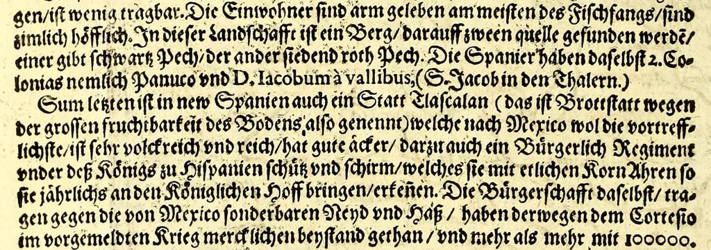 An illustration from Geographische vnd historische Beschreibung der uberauss grosser Landtschafft America: welche auch West Jndia, vnd jhrer grösse halben die New Welt genennet wirt. : Gar artig, vnd nach der Kunst in XX. Mappen oder Landtaffeln verfasset, vnd jetzt newlich in Kupffer gestochen, vnd an tag gegeben. : Dabey auff dem Rücken ieder Mappen gefunden wirdt, die Gestalt, Art, vne vornembste Gelgenheit der Landtschafft ... : Zu mehrem Verstand vnd Erklärung gemelter Landschafft America, ist hiebey gefügt ein schön vnd nützlicher Tractat von der Natur, Art, vnd Eygenschafft der Newer Welt ..., 1598, leaf 98
