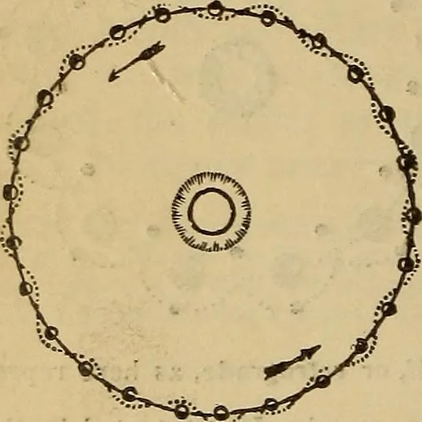 An illustration from The geography of the heavens, and class-book of astronomy: accompanied by a celestial atlas, 1873, leaf 215