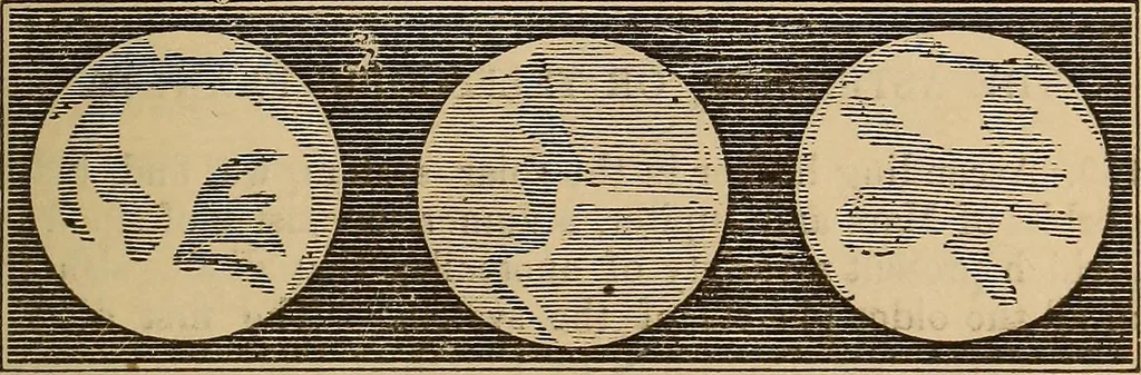 An illustration from The geography of the heavens, and class-book of astronomy: accompanied by a celestial atlas, 1873, leaf 234