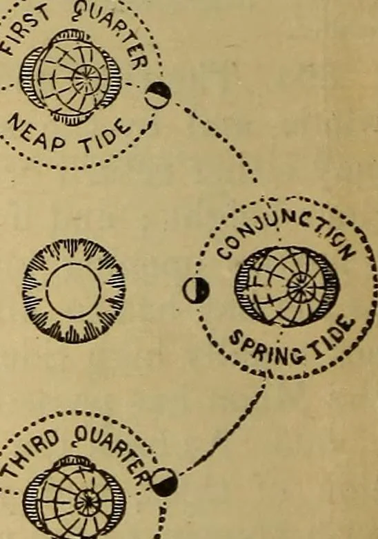 An illustration from The geography of the heavens, and class-book of astronomy: accompanied by a celestial atlas, 1873, leaf 291