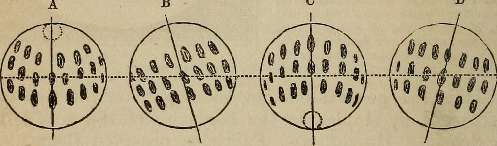 An illustration from The geography of the heavens, and class-book of astronomy:, 1858, leaf 175