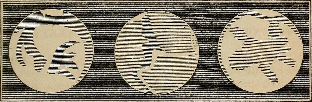 An illustration from The geography of the heavens, and class-book of astronomy:, 1858, leaf 228