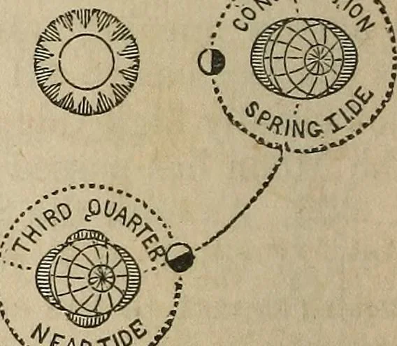 An illustration from The geography of the heavens, and class-book of astronomy:, 1858, leaf 285