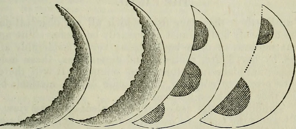 An illustration from The geography of the heavens, and class book of astronomy:, 1849, leaf 201