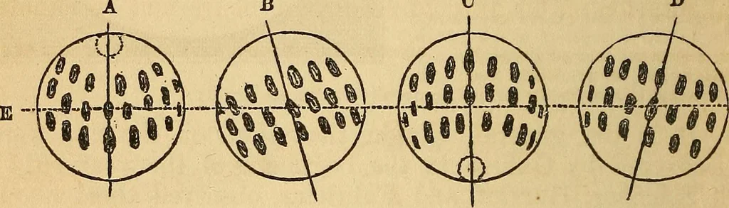 An illustration from The geography of the heavens : and class-book of astronomy : accompanied by a celestial atlas, 1860, leaf 177