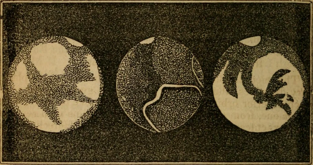 An illustration from The geography of the heavens, and class book of astronomy:, 1853, leaf 238