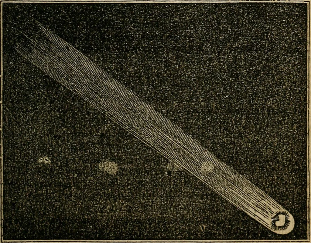 An illustration from The geography of the heavens, and class book of astronomy:, 1853, leaf 271