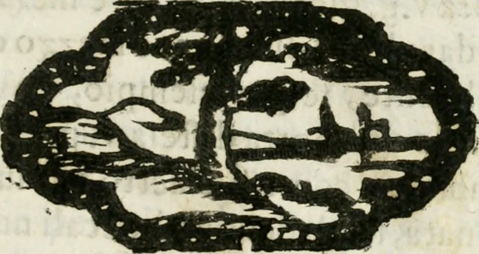 An illustration from Geometria famigliare, et instruttione practica, 1671, leaf 104