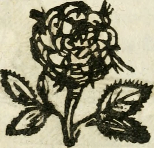 An illustration from Geometria famigliare, et instruttione practica, 1671, leaf 123