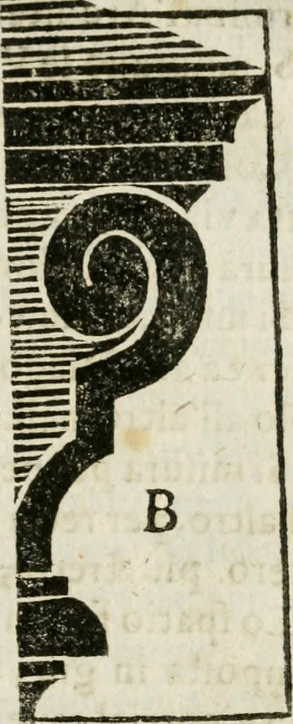 An illustration from Geometria famigliare, et instruttione practica, 1671, leaf 126