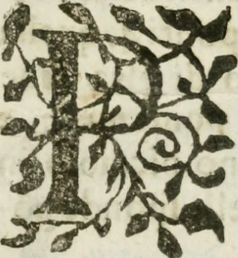 An illustration from Geometria famigliare, et instruttione practica, 1671, leaf 16