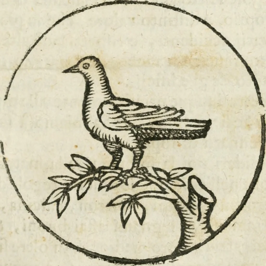 An illustration from Geometria famigliare, et instruttione practica, 1671, leaf 198