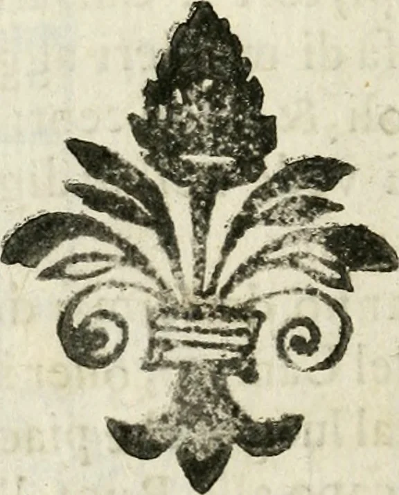 An illustration from Geometria famigliare, et instruttione practica, 1671, leaf 77