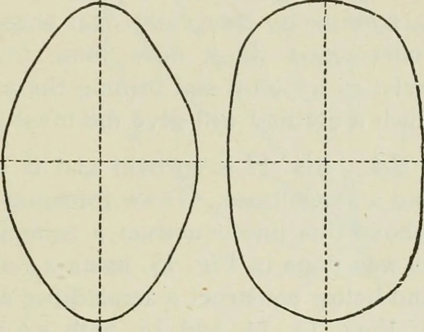 An illustration from Geometrical drawing, projection drawing, freehand and ornamental drawing, wash work and brush drawing, elementary perspective drawing, architectural drawing, 1921, leaf 178