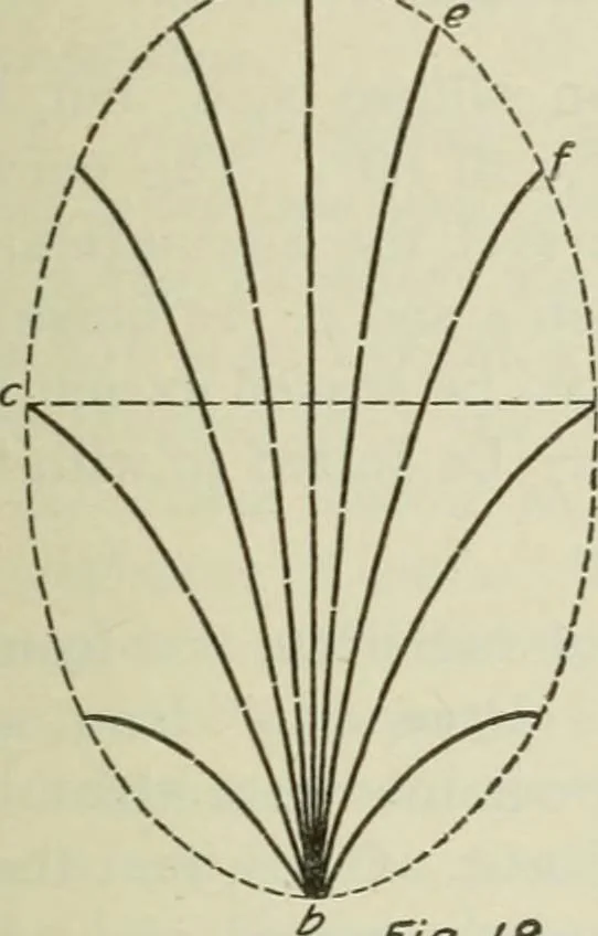 An illustration from Geometrical drawing, projection drawing, freehand and ornamental drawing, wash work and brush drawing, elementary perspective drawing, architectural drawing, 1921, leaf 180
