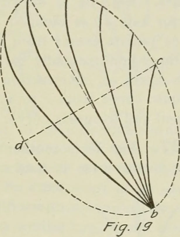 An illustration from Geometrical drawing, projection drawing, freehand and ornamental drawing, wash work and brush drawing, elementary perspective drawing, architectural drawing, 1921, leaf 180