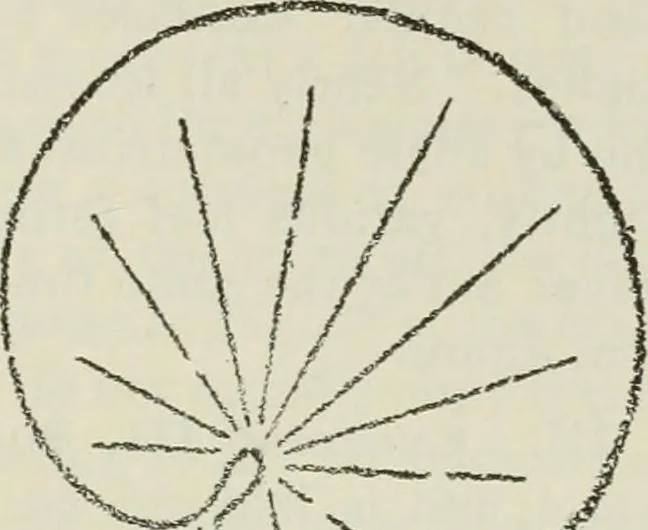 An illustration from Geometrical drawing, projection drawing, freehand and ornamental drawing, wash work and brush drawing, elementary perspective drawing, architectural drawing, 1921, leaf 202