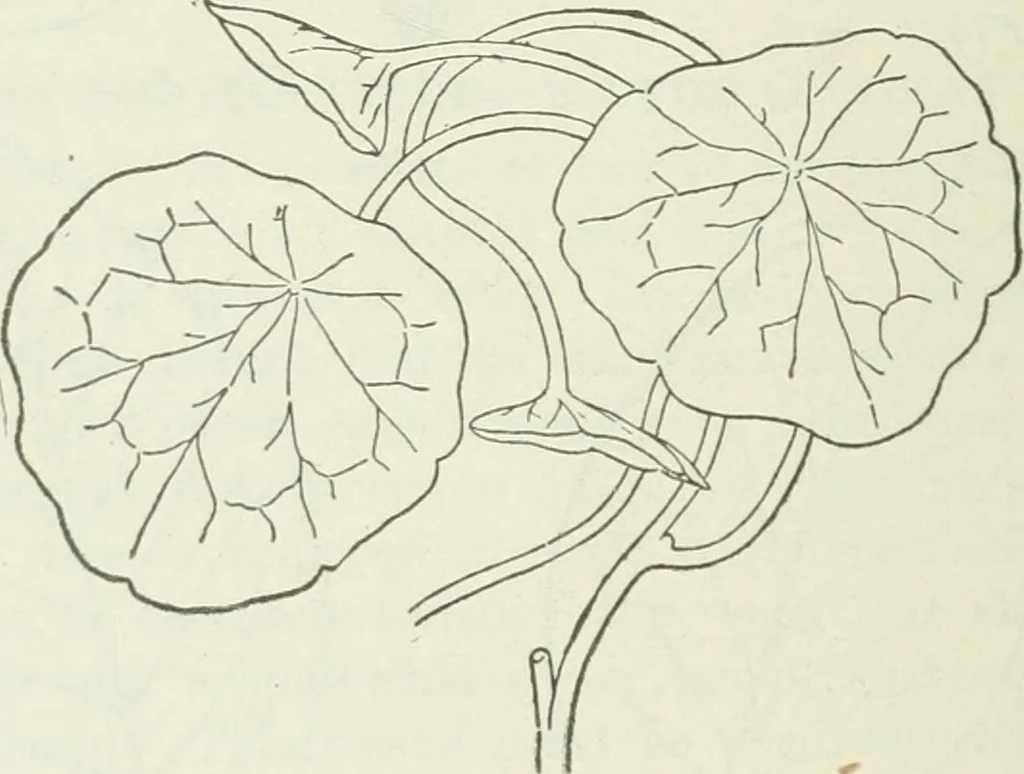 An illustration from Geometrical drawing, projection drawing, freehand and ornamental drawing, wash work and brush drawing, elementary perspective drawing, architectural drawing, 1921, leaf 203