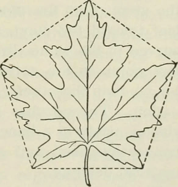 An illustration from Geometrical drawing, projection drawing, freehand and ornamental drawing, wash work and brush drawing, elementary perspective drawing, architectural drawing, 1921, leaf 206