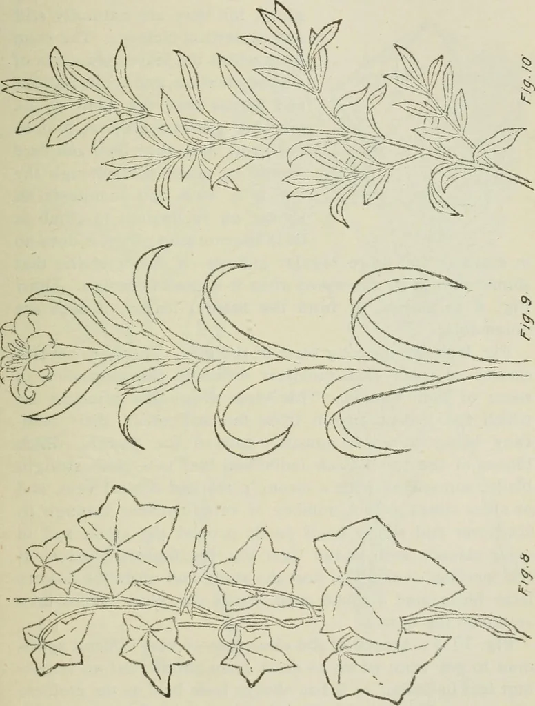 An illustration from Geometrical drawing, projection drawing, freehand and ornamental drawing, wash work and brush drawing, elementary perspective drawing, architectural drawing, 1921, leaf 210